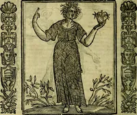 Picture 62 of 320 from Nova iconologia (1618), leaf 141