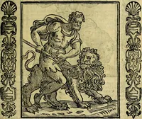 Picture 97 of 320 from Nova iconologia (1618), leaf 204