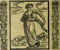 Picture 107 of 320 from Nova iconologia (1618), leaf 229