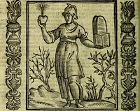 Picture 108 of 320 from Nova iconologia (1618), leaf 233