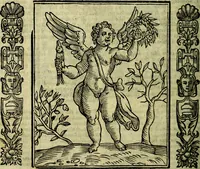 Picture 117 of 320 from Nova iconologia (1618), leaf 259
