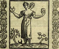 Picture 120 of 320 from Nova iconologia (1618), leaf 262