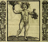 Picture 125 of 320 from Nova iconologia (1618), leaf 269