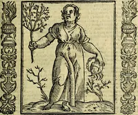 Picture 132 of 320 from Nova iconologia (1618), leaf 284