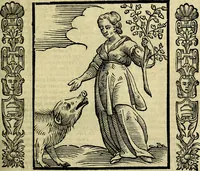 Picture 145 of 320 from Nova iconologia (1618), leaf 312