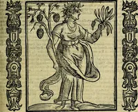 Picture 164 of 320 from Nova iconologia (1618), leaf 344