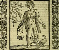 Picture 186 of 320 from Nova iconologia (1618), leaf 391