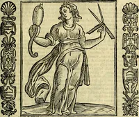Picture 202 of 320 from Nova iconologia (1618), leaf 434