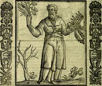 Picture 221 of 320 from Nova iconologia (1618), leaf 475