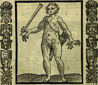 Picture 241 of 320 from Nova iconologia (1618), leaf 509