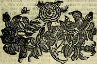 An illustration from Nova iconologia (1618)