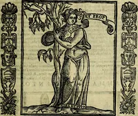 Picture 26 of 320 from Nova iconologia (1618), leaf 70