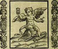 Picture 30 of 320 from Nova iconologia (1618), leaf 77
