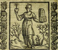 Picture 100 of 314 from Nova iconologia (1618), leaf 191