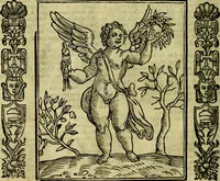 Picture 109 of 314 from Nova iconologia (1618), leaf 217