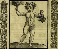 Picture 117 of 314 from Nova iconologia (1618), leaf 227