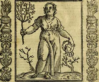 Picture 124 of 314 from Nova iconologia (1618), leaf 242