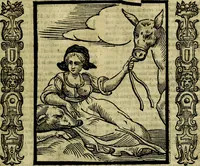 Picture 133 of 314 from Nova iconologia (1618), leaf 264