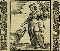 Picture 137 of 314 from Nova iconologia (1618), leaf 270