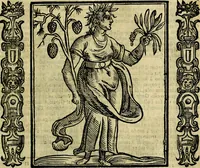 Picture 154 of 314 from Nova iconologia (1618), leaf 302