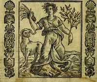 Picture 159 of 314 from Nova iconologia (1618), leaf 311