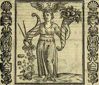 Picture 164 of 314 from Nova iconologia (1618), leaf 320