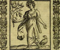 An illustration from Nova iconologia (1618)