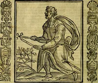 Picture 198 of 314 from Nova iconologia (1618), leaf 411