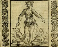 Picture 199 of 314 from Nova iconologia (1618), leaf 412