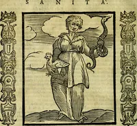 Picture 231 of 314 from Nova iconologia (1618), leaf 467