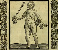 Picture 233 of 314 from Nova iconologia (1618), leaf 469