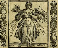 Picture 247 of 314 from Nova iconologia (1618), leaf 502
