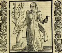 Picture 280 of 314 from Nova iconologia (1618), leaf 588