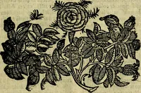 Picture 284 of 314 from Nova iconologia (1618), leaf 594