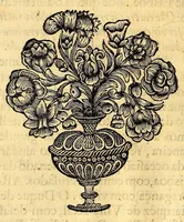 An illustration from Nova Lusitania, historia da guerra brasilica : a purissima alma e savdosa memoria do serenissimo principe dom Theodosio principe de Portugal, e principe do Brasil. (1675)