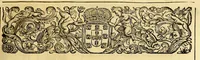 Picture 9 of 12 from Nova Lusitania, historia da guerra brasilica : a purissima alma e savdosa memoria do serenissimo principe dom Theodosio principe de Portugal, e principe do Brasil. (1675), leaf 255