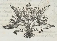 Picture 21 of 55 from Nova plantarum, animalium et mineralium Mexicanorum historia (1651), leaf 228