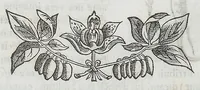 Picture 23 of 55 from Nova plantarum, animalium et mineralium Mexicanorum historia (1651), leaf 255