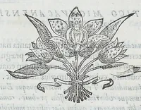 Picture 26 of 55 from Nova plantarum, animalium et mineralium Mexicanorum historia (1651), leaf 272