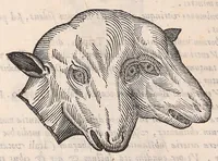 An illustration from Nova plantarum, animalium et mineralium Mexicanorum historia (1651)