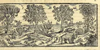 An illustration from Nova plantarum, animalium et mineralium Mexicanorum historia (1651)