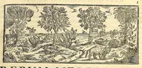 Picture 1 of 69 from Nova plantarum, animalium et mineralium Mexicanorum historia (1651), leaf 17