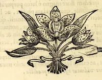Picture 27 of 69 from Nova plantarum, animalium et mineralium Mexicanorum historia (1651), leaf 206