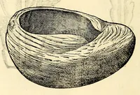 Picture 62 of 69 from Nova plantarum, animalium et mineralium Mexicanorum historia (1651), leaf 480