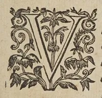 An illustration from Novarvm observationvm physico-mathematicarvm (1647)