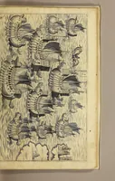 Picture 5 of 18 from Nova typis transacta navigatio. : Novi Orbis Indiæ Occidentalis admodum reverendissimorum PP. ... Dn. Buellii Cataloni abbatis montis Serrati, & in vniversam Americam, sive Novum Orbem sacræ sedis Apostolicæ Romanæ â latere legati, vicarij, ac patriarchæ : sociorumq[ue] monarchorum ex Ordine S.P.N. Benedicti ad suprà dicti Novi Mundi barbaras gentes Christi S. Evangelium prædicandi gratia delegatorum sacerdotum dimissi per S.D.D. Papam Alexandrum VI. Anno Christi. 1492. Nunc primum e varijs scriptoribus in vnum collecta, & figuris ornata. (1621), leaf 55