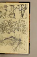 An illustration from Nova typis transacta navigatio. : Novi Orbis Indiæ Occidentalis admodum reverendissimorum PP. ... Dn. Buellii Cataloni abbatis montis Serrati, & in vniversam Americam, sive Novum Orbem sacræ sedis Apostolicæ Romanæ â latere legati, vicarij, ac patriarchæ : sociorumq[ue] monarchorum ex Ordine S.P.N. Benedicti ad suprà dicti Novi Mundi barbaras gentes Christi S. Evangelium prædicandi gratia delegatorum sacerdotum dimissi per S.D.D. Papam Alexandrum VI. Anno Christi. 1492. Nunc primum e varijs scriptoribus in vnum collecta, & figuris ornata. (1621)