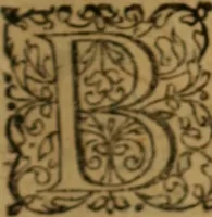 An illustration from Novi Jesu Christi Testamenti Græco Latino Germanicæ novæ editionis, pars prima : in qua una cum pietate, et verbis æternævitæ, tres linguæ, vel solæ, vel inter se collatæ unâ operâ & propemodum simul legi, & addisci compediosè à junioribus possint ... studio Eilhardi Ludbini .. (1617)
