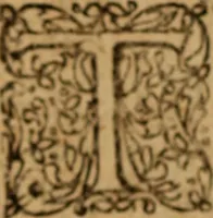 An illustration from Novi Jesu Christi Testamenti Græco Latino Germanicæ novæ editionis, pars prima : in qua una cum pietate, et verbis æternævitæ, tres linguæ, vel solæ, vel inter se collatæ unâ operâ & propemodum simul legi, & addisci compediosè à junioribus possint ... studio Eilhardi Ludbini .. (1617)
