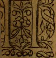 An illustration from Novi Jesu Christi Testamenti novæ editionis : Græco-Latino-Germanicæ interlinearis sive parallelæ, qua ad nobilissimam linguarum Græcam uná cum pietate et verbis æternæ vitæ addiscendam facilis et expedita via sternitur .. (1616)